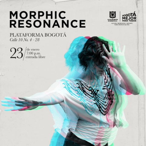  Morphic Resonance