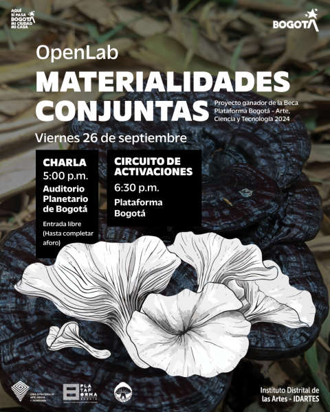 Pieza promocional muestra de resultados Materialidades Conjuntas